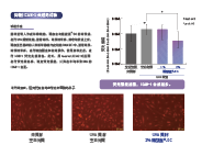 薩馥嵐®-DC(圖3)