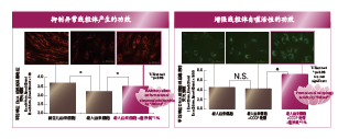蓮浄美(měi)®(圖3)