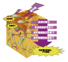 有(yǒu)機(jī)大(dà)米水(shuǐ)解液 (圖1)