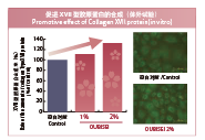桜美(měi)精®(圖2)