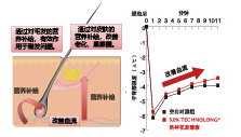 洛神花(huā)發酵液(圖2)