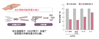 和(hé)美(měi)三美(měi)-W(圖2)