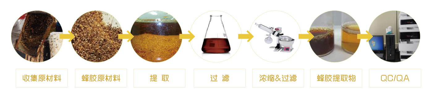 蜂膠提取物(wù)(圖1)